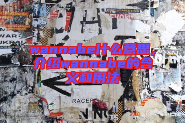 wannabe什么意思，介紹wannabe的含義和用法