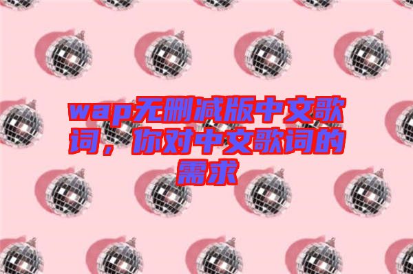 wap無刪減版中文歌詞，你對中文歌詞的需求