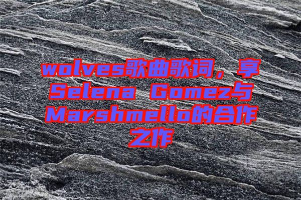 wolves歌曲歌詞，享Selena Gomez與Marshmello的合作之作