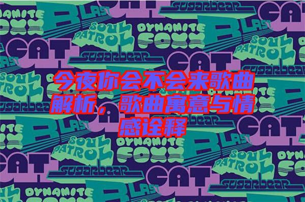 今夜你會不會來歌曲解析，歌曲寓意與情感詮釋