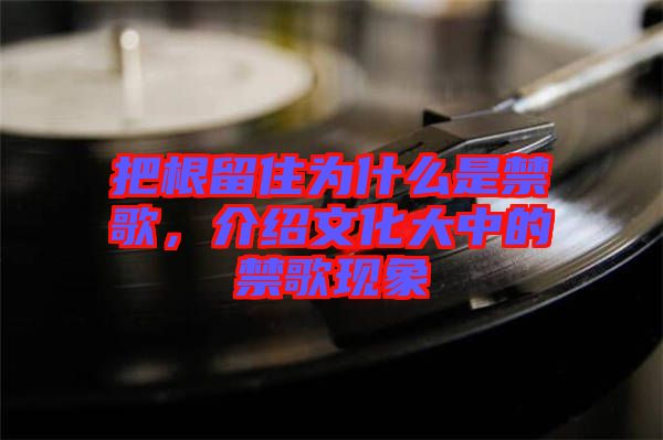 把根留住為什么是禁歌，介紹文化大中的禁歌現(xiàn)象