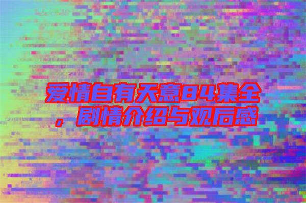 愛(ài)情自有天意84集全，劇情介紹與觀后感