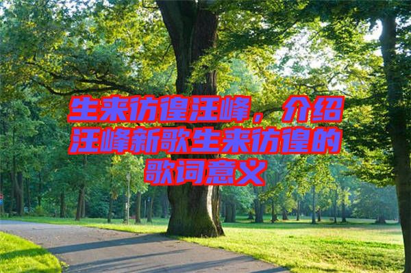 生來彷徨汪峰，介紹汪峰新歌生來彷徨的歌詞意義