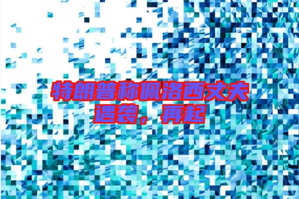 特朗普稱(chēng)佩洛西丈夫遇襲，再起