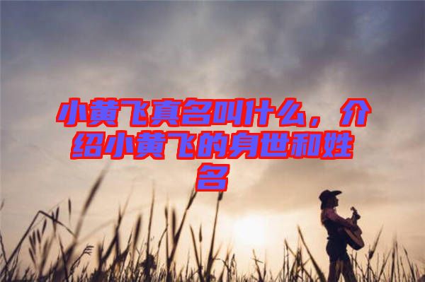 小黃飛真名叫什么，介紹小黃飛的身世和姓名