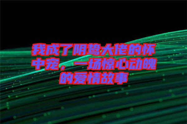 我成了陰鷙大佬的懷中寵，一場驚心動魄的愛情故事