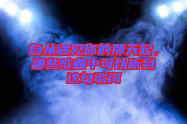 自從遇見(jiàn)你的那天起，哪些歌曲中可以聽(tīng)到這句歌詞