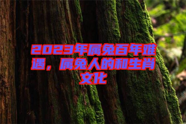 2023年屬兔百年難遇，屬兔人的和生肖文化