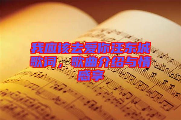 我應(yīng)該去愛你汪東城歌詞，歌曲介紹與情感享