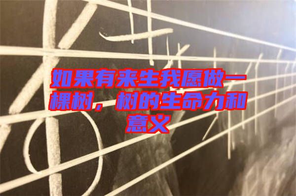 如果有來(lái)生我愿做一棵樹(shù)，樹(shù)的生命力和意義