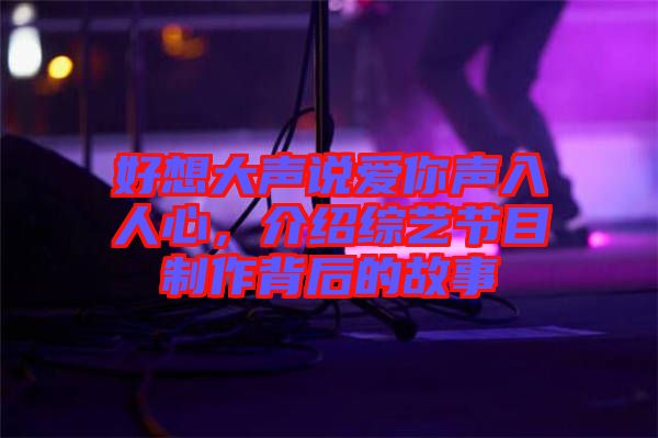好想大聲說(shuō)愛(ài)你聲入人心，介紹綜藝節(jié)目制作背后的故事