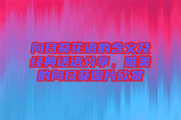 向日葵花語(yǔ)的含義及經(jīng)典話語(yǔ)分享，唯美的向日葵圖片欣賞