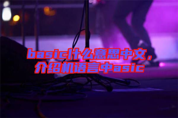 basic什么意思中文，介紹機語言中asic