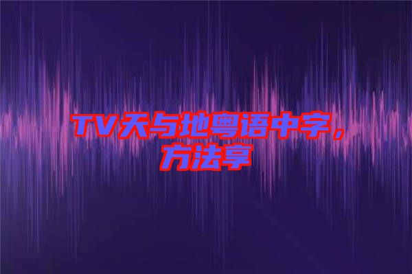 TV天與地粵語(yǔ)中字，方法享