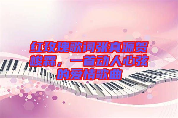 紅玫瑰歌詞張真源賀峻霖，一首動人心弦的愛情歌曲