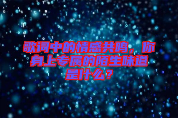 歌詞中的情感共鳴，你身上專屬的陌生味道是什么？