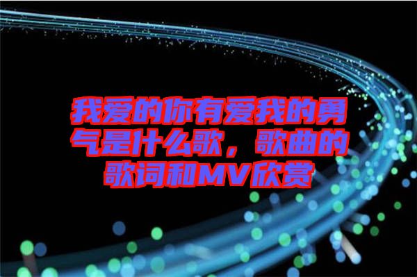 我愛的你有愛我的勇氣是什么歌，歌曲的歌詞和MV欣賞