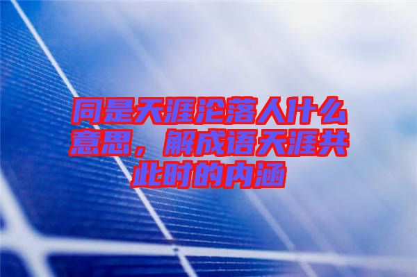 同是天涯淪落人什么意思，解成語天涯共此時的內(nèi)涵