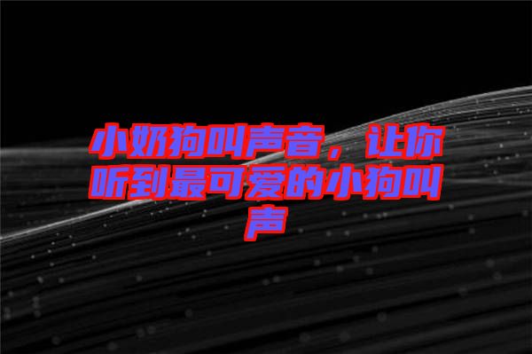 小奶狗叫聲音，讓你聽到最可愛的小狗叫聲