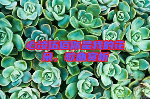 心凌伍佰你是我的花朵，歌曲賞析
