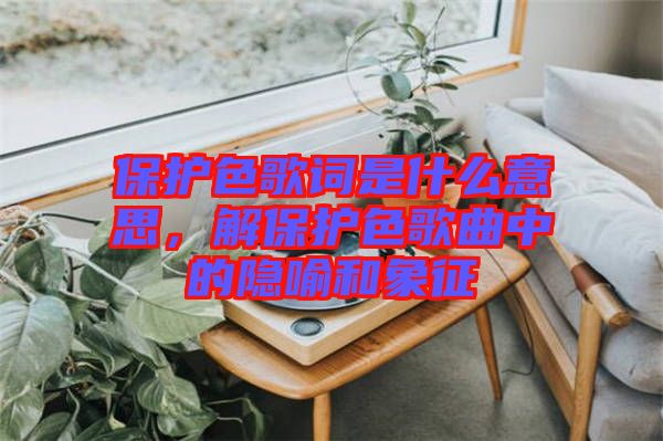 保護(hù)色歌詞是什么意思，解保護(hù)色歌曲中的隱喻和象征