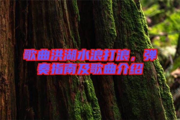 歌曲洪湖水浪打浪，彈奏指南及歌曲介紹