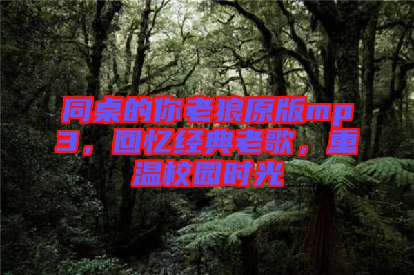 同桌的你老狼原版mp3，回憶經典老歌，重溫校園時光