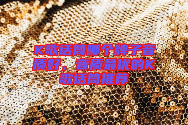 K歌話筒哪個(gè)牌子音質(zhì)好，音質(zhì)最優(yōu)的K歌話筒推薦