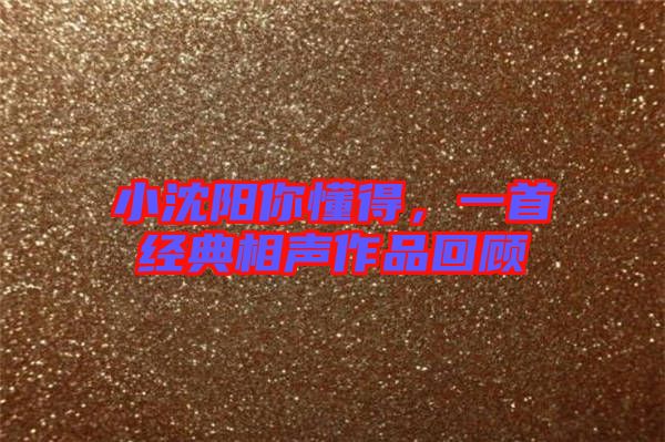 小沈陽你懂得，一首經(jīng)典相聲作品回顧