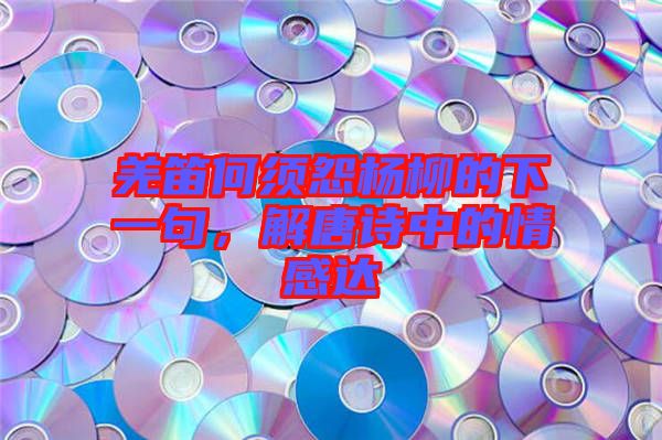 羌笛何須怨楊柳的下一句，解唐詩(shī)中的情感達(dá)