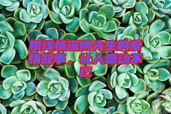婚淺情深傅先生的愛情故事，讓人感動不已
