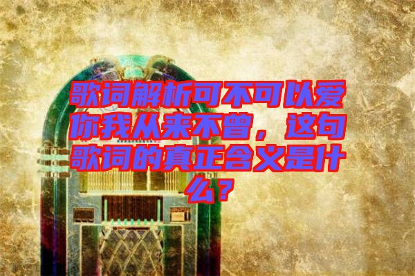 歌詞解析可不可以愛你我從來不曾，這句歌詞的真正含義是什么？