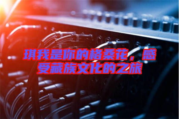 琪我是你的格?；?，感受藏族文化的之旅