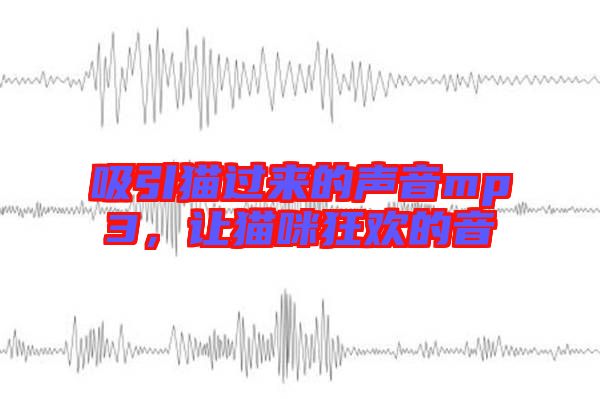 吸引貓過(guò)來(lái)的聲音mp3，讓貓咪狂歡的音