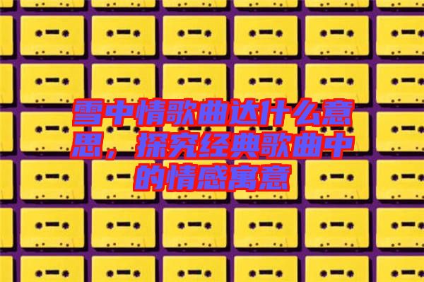 雪中情歌曲達什么意思，探究經(jīng)典歌曲中的情感寓意