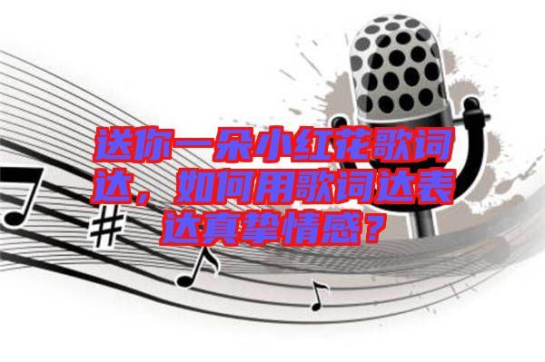 送你一朵小紅花歌詞達(dá)，如何用歌詞達(dá)表達(dá)真摯情感？
