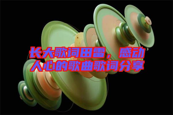 長(zhǎng)大歌詞田雷，感動(dòng)人心的歌曲歌詞分享