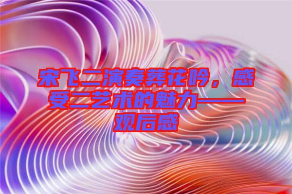 宋飛二演奏葬花吟，感受二藝術(shù)的魅力——觀后感