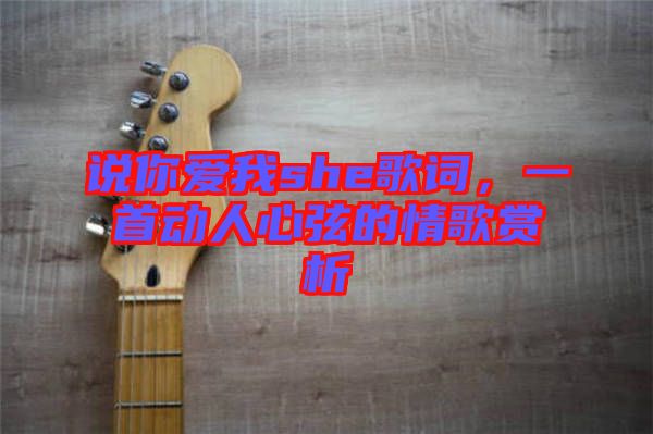 說你愛我she歌詞，一首動(dòng)人心弦的情歌賞析