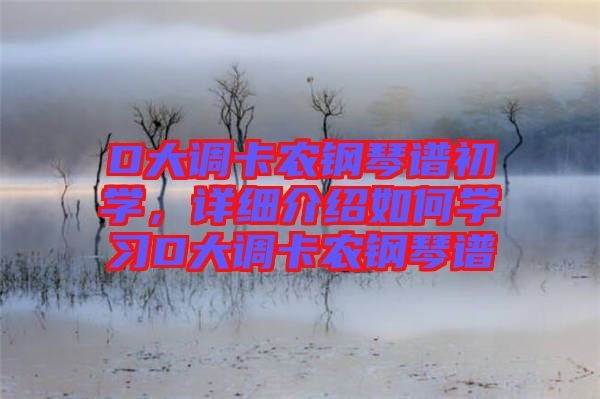 D大調(diào)卡農(nóng)鋼琴譜初學(xué)，詳細(xì)介紹如何學(xué)習(xí)D大調(diào)卡農(nóng)鋼琴譜