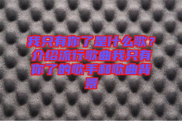 我只有你了是什么歌？介紹流行歌曲我只有你了的歌手和歌曲背景