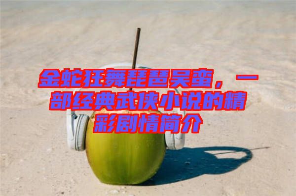 金蛇狂舞琵琶吳蠻，一部經(jīng)典武俠小說(shuō)的精彩劇情簡(jiǎn)介