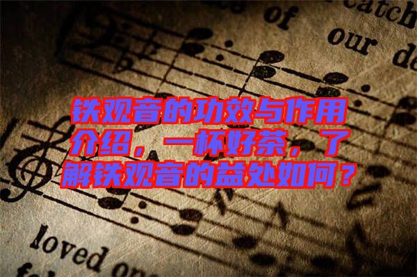 鐵觀音的功效與作用介紹，一杯好茶，了解鐵觀音的益處如何？