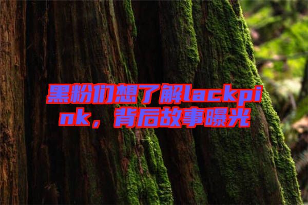 黑粉們想了解lackpink，背后故事曝光