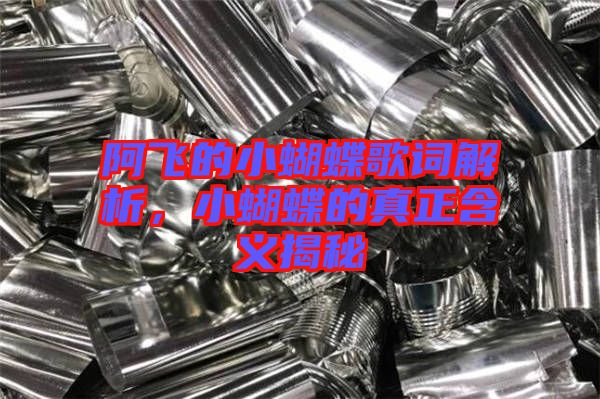 阿飛的小蝴蝶歌詞解析，小蝴蝶的真正含義揭秘