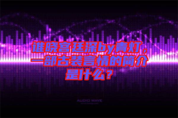 誰(shuí)曉宮廷深by青燈，一部古裝言情的簡(jiǎn)介是什么？