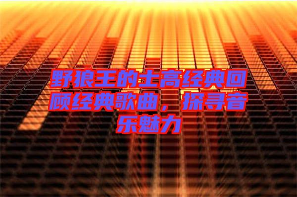 野狼王的士高經(jīng)典回顧經(jīng)典歌曲，探尋音樂魅力