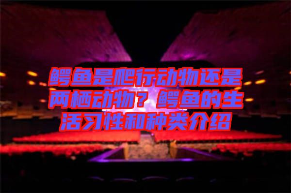 鱷魚是爬行動物還是兩棲動物？鱷魚的生活習(xí)性和種類介紹