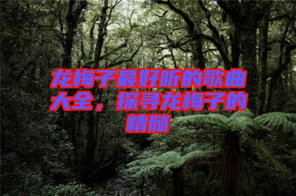 龍梅子最好聽的歌曲大全，探尋龍梅子的精髓
