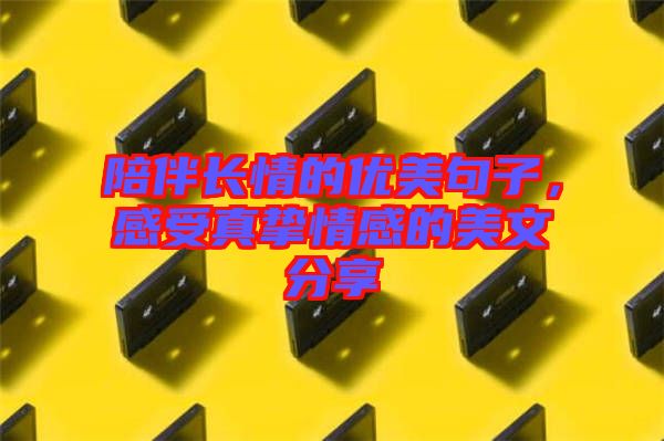 陪伴長(zhǎng)情的優(yōu)美句子，感受真摯情感的美文分享